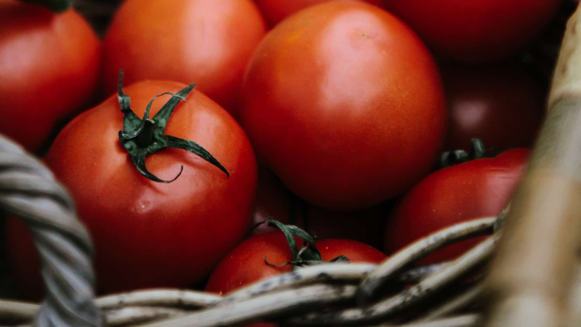 Farm-to-table-2 tomato