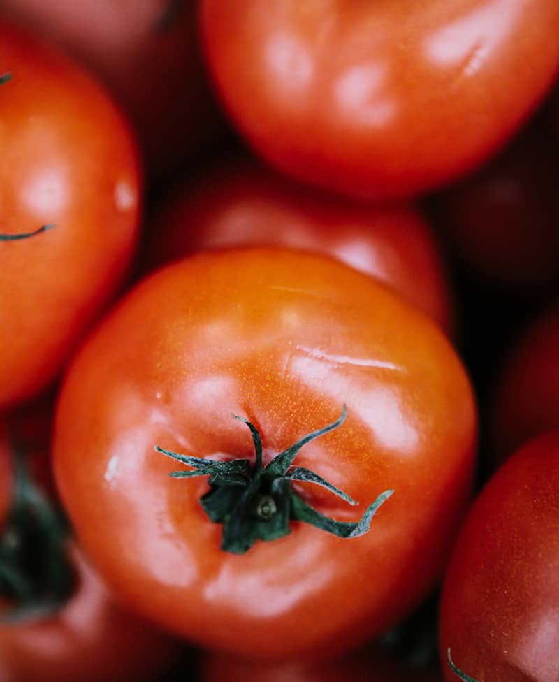 Farm-to-table-63 tomato exporter bangladesh