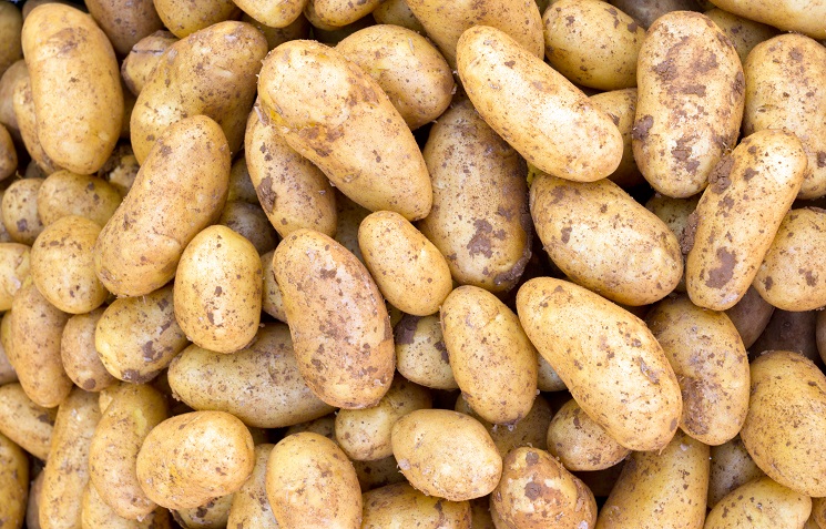 potato exporter bangladesh