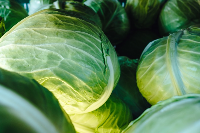 cabbage cabbage exporter in Bangladesh