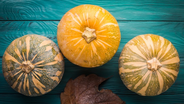 Green autumn background with pumpkin, leaves pumpkin exporter in bangladesh