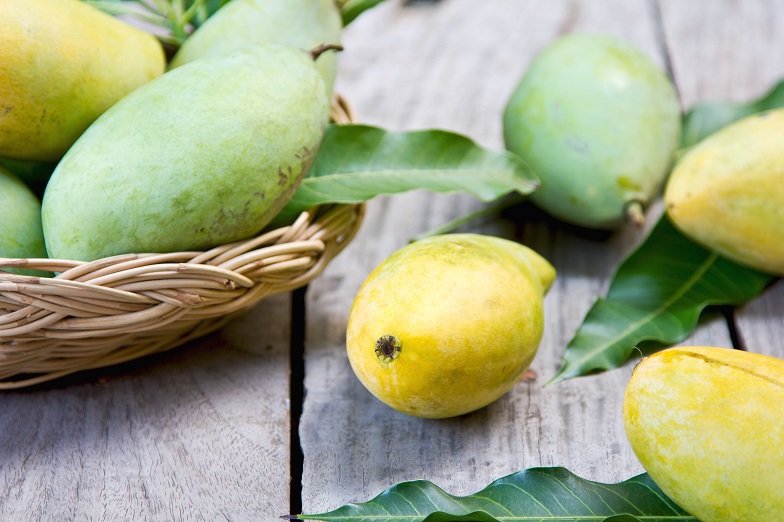 Mango mangoes exporter in bangladesh
